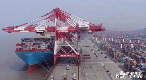 卖啥啥便宜 中国崛起为全球普通人带来的福音